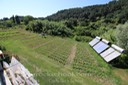 IMG_0349