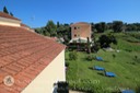 IMG_0350