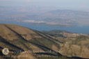 IMG_2229