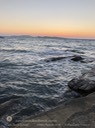 IMG_4241