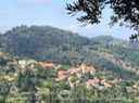 IMG_4269