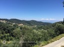 IMG_4355