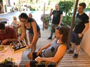 IMG_4519