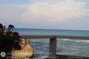 IMG_4642
