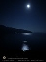 IMG_4728