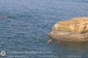 IMG_4737