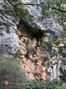 IMG_4747