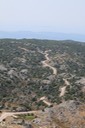 IMG_5482