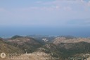 IMG_5489