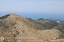 IMG_5493