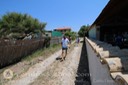 IMG_9991