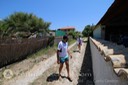 IMG_9995